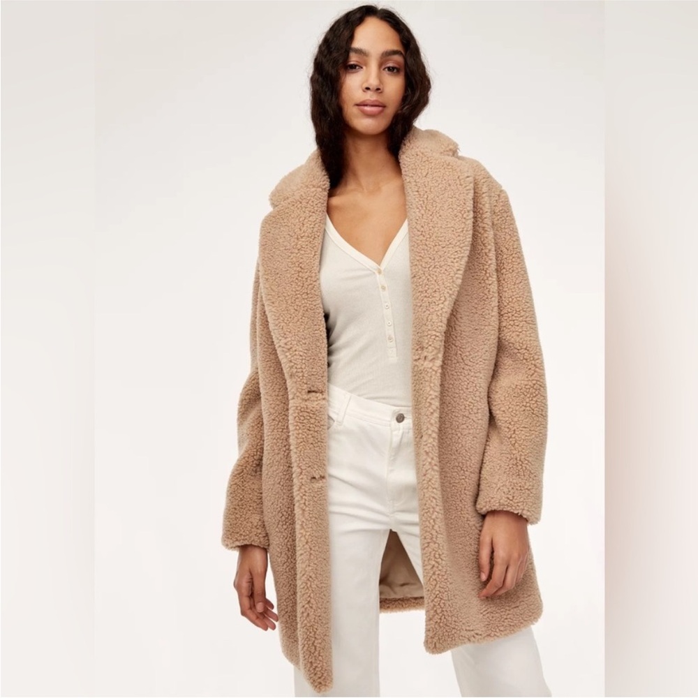 Aritzia Wilfred teddy coat